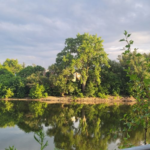 The river held the trees like a memory