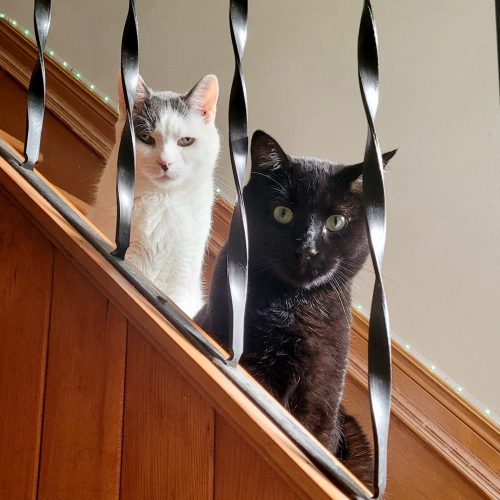 the boys are watching